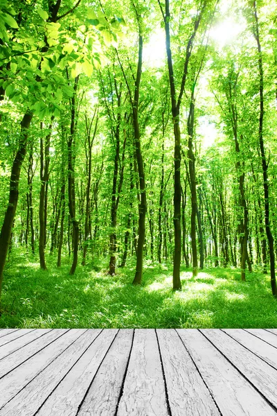 Milieux Texturés Bois Dans Une Pièce Intérieure Sur Les Milieux — Photo