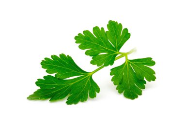 Maydanoz beyazda izole