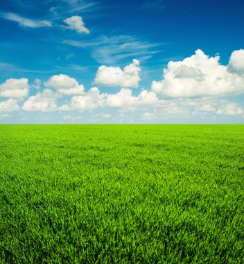 Çimenler ve mükemmel gökyüzü.