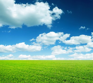 Çimenler ve mükemmel gökyüzü.