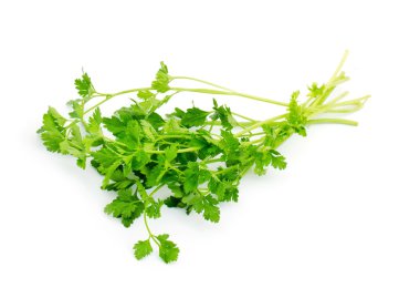 Beyaz arkaplanda yeşil maydanoz yaprakları