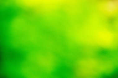 Doğal Bokeh, bulanık bokeh.