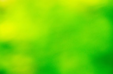 Ağaçtan yeşil bokeh