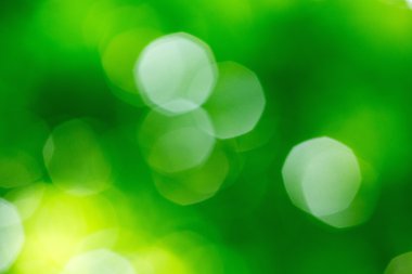 Yeşil bulanık arkaplan ve güneş ışığı