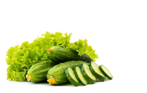 Fresh Cucumbers Isolated White — Stock Photo, Image