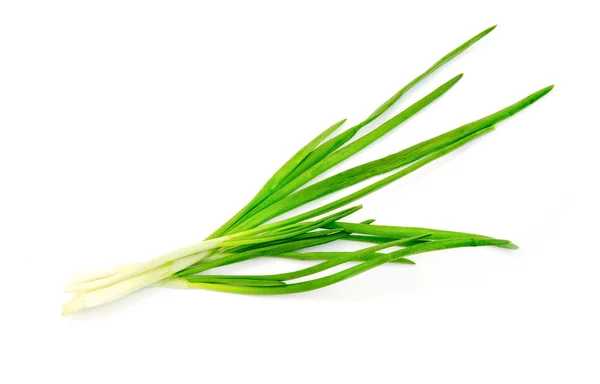 Green Onion White Background — Stock Photo, Image