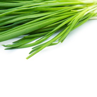 Beyaz arkaplanda yeşil soğan