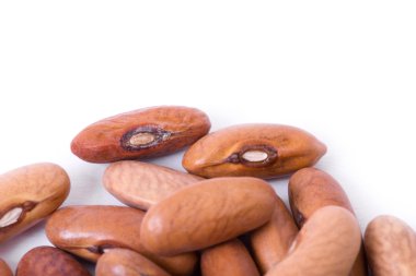 beyaz arkaplanda kızılcık fasulyesi