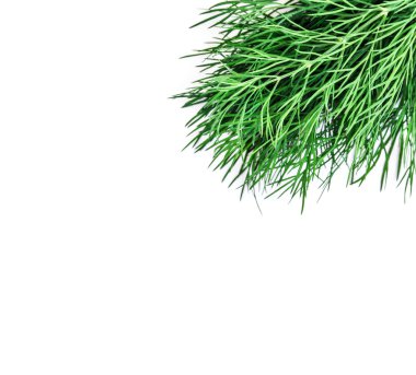 Beyaz adam izole yeşil dereotu