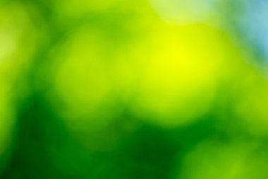 Yeşil bulanık arkaplan ve güneş ışığı