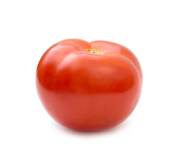 Tomate Aislado Sobre Blanco — Foto de Stock