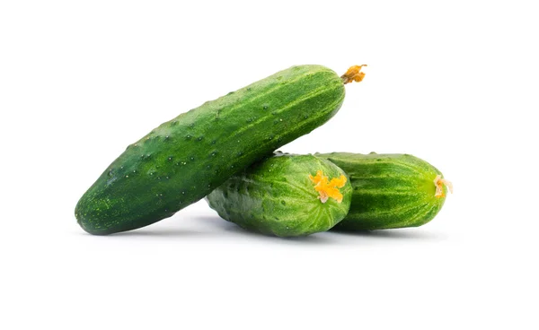 Fresh Cucumber White Backgroun — 스톡 사진