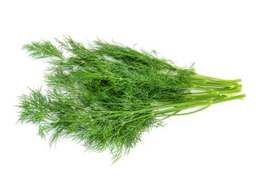 Dill beyaz üzerine izole