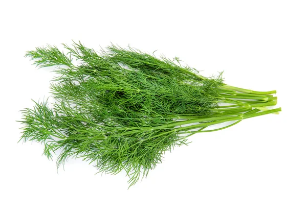 Dill Isolated White — Stock Photo, Image