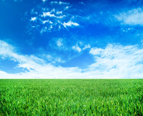 Meadow Green Grass Blue Sky Clouds Stock Photo