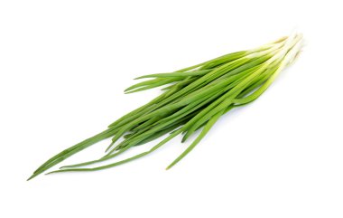 Beyaz arkaplanda yeşil soğan