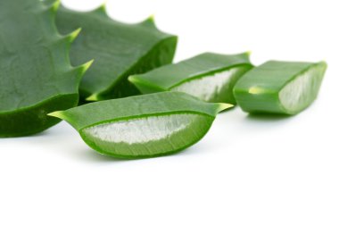 Aloe vera taze yaprak. beyaz üzerinde izole