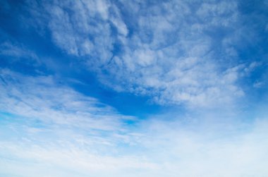 light clouds in the blue sky