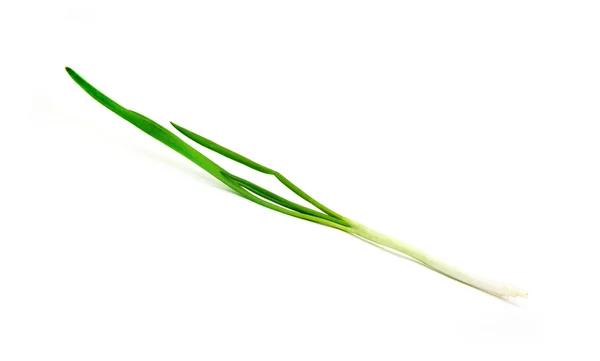 Green Onion White Background — Stock Photo, Image