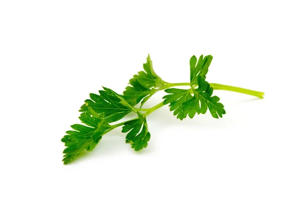 Parsley isolated on white — Stock Photo, Image