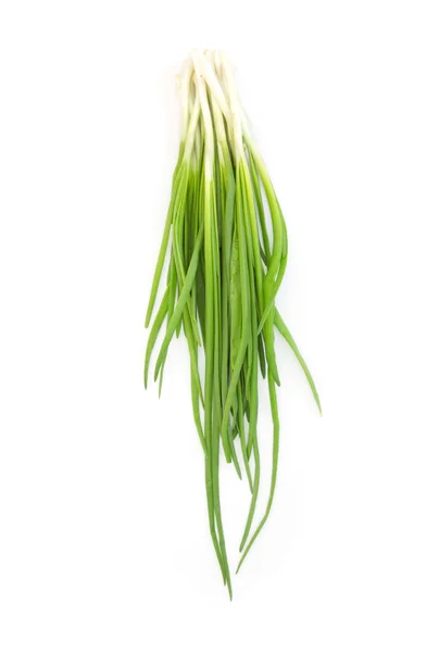 Green Onion on white background — Stock Photo, Image