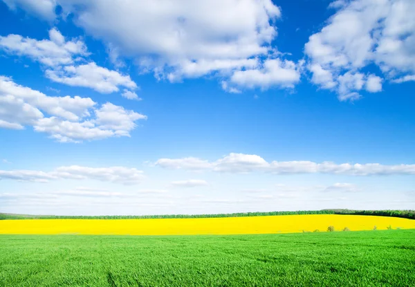 Rasenfläche Und Perfektes Wetter — Stockfoto