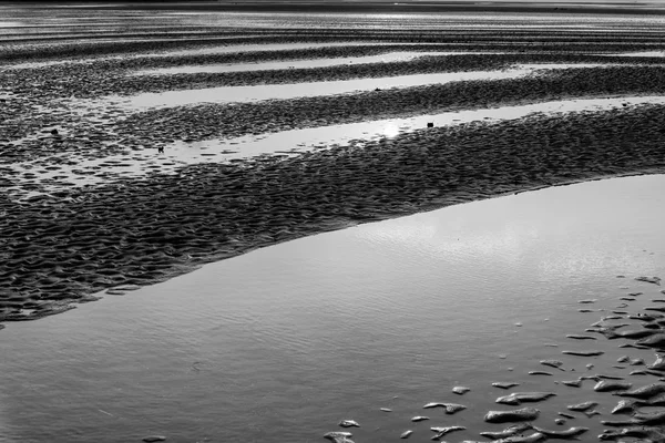 Schwarz-Weiß-Foto von Wasser am Strand — Stockfoto