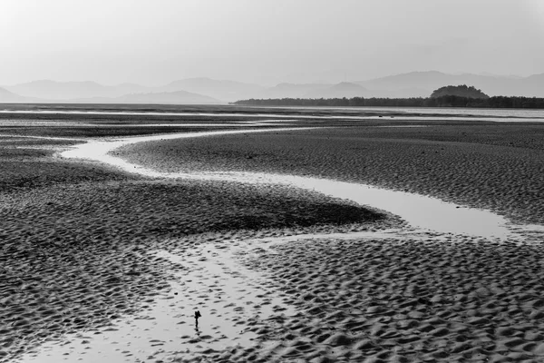 Zwart / wit foto van water op strand — Stockfoto