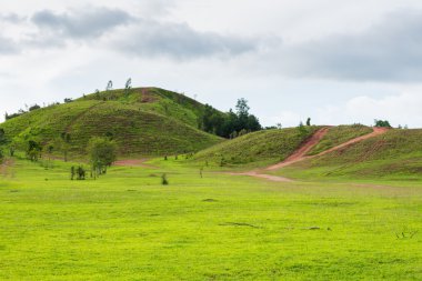 Çim dağ ranong