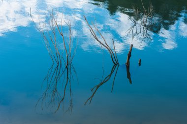 su dalında yansıtacak