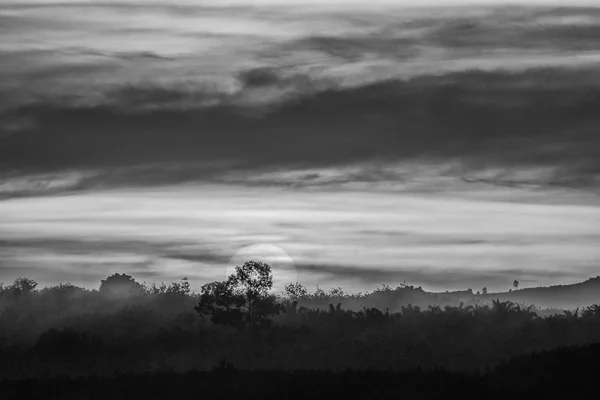 Sunrise behind the tree — Stock Photo, Image