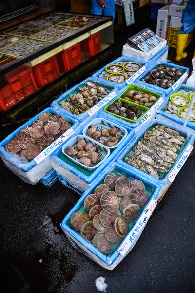 Hakodate ochtend vis markt — Stockfoto