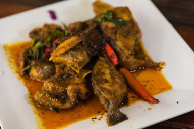 Yavru kedi balık heyecan Tay curry ile