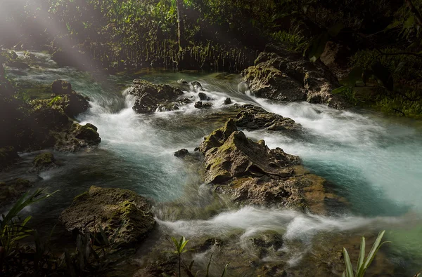 ⬇ Скачать Картинки Légende De Tarzan, Стоковые Фото Légende De.