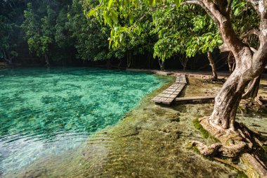 Zümrüt Havuzu, Krabi, Tayland Thailand