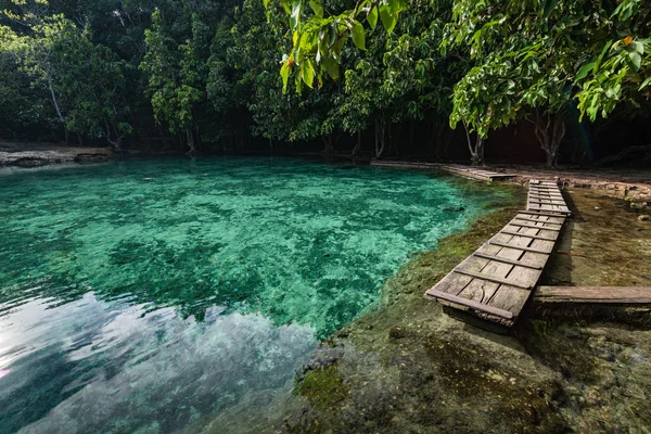 Smaragdové jezírko v Krabi Thajsko — Stock fotografie