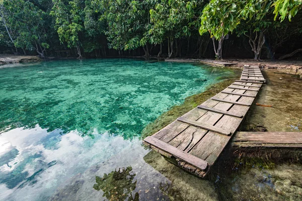 Emerald pool di Krabi Thailand — Stok Foto