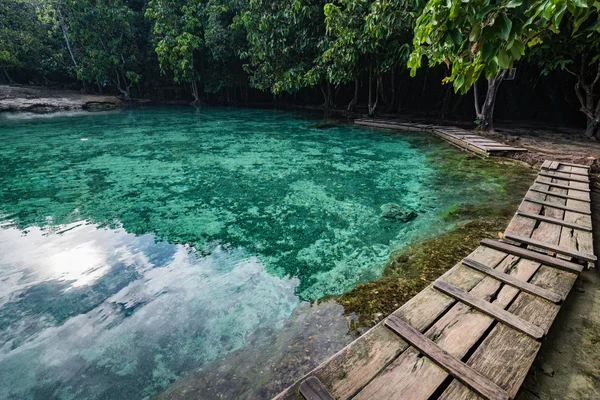 Piscină de smarald în Krabi Thailanda — Fotografie, imagine de stoc