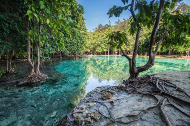 Zümrüt Havuzu, Krabi, Tayland Thailand