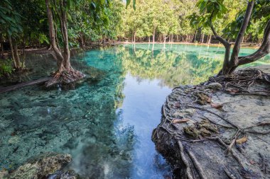 Zümrüt Havuzu, Krabi, Tayland Thailand