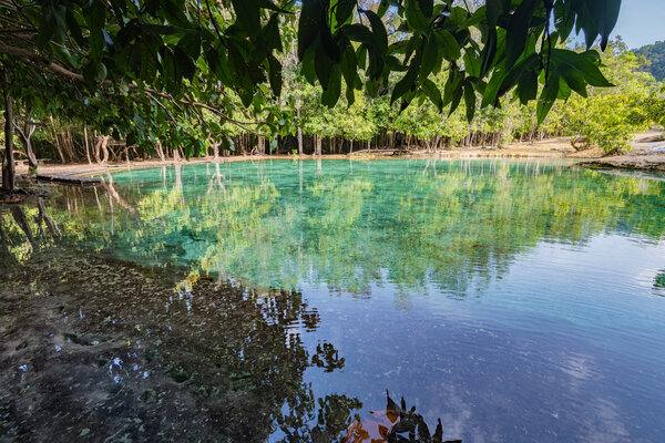 Emerald pool at Krabi Thailand