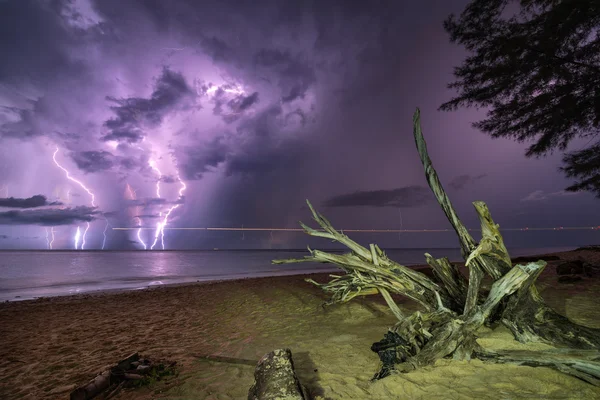 Корінь дерева і блискавка в морі — стокове фото