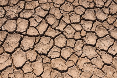 Crack surface of clay in hot terrain clipart