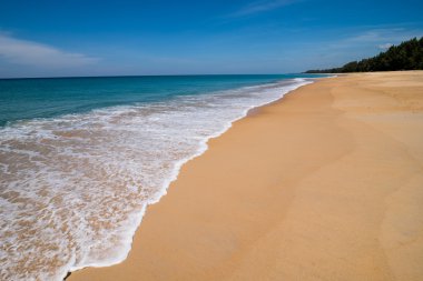 Sahilde düzgün dalga