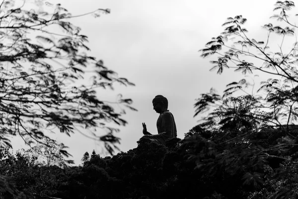 Скульптура Нгонг Пинг Бадха над горой — стоковое фото