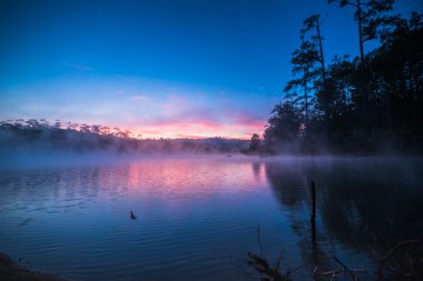 Sabah güneş doğmadan önce gölde üzerinden sis 