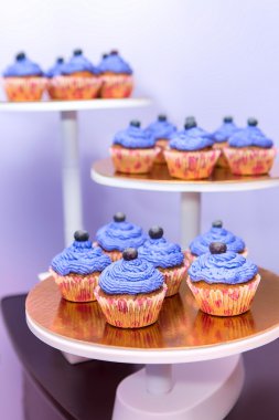Böğürtlenli kek bir stand. Party dekorasyon gıda. Çilek ve krema ile cupcakes. Mor renk pastaları.