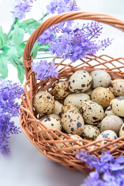 Œufs de caille dans un panier en osier avec des fleurs de lavande sur fond blanc — Photo