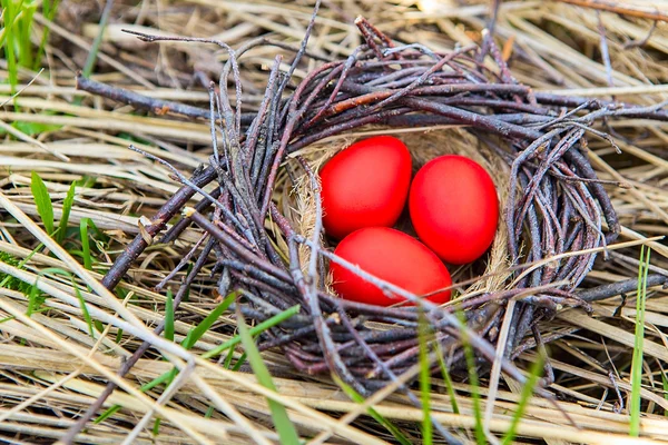 Red Easter eggs in a decoration nest on a natural dry grass background — Stock Photo, Image