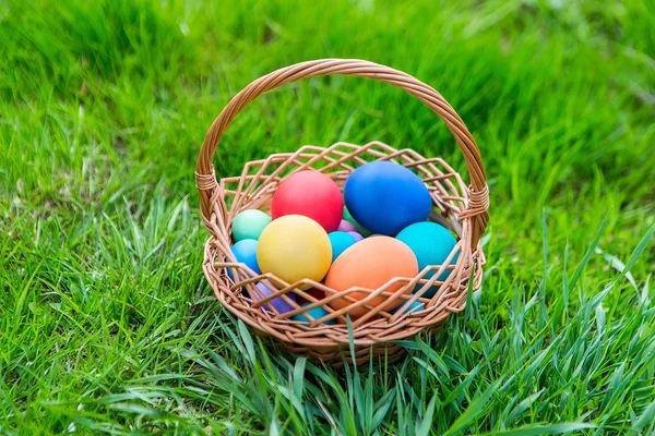 Egy kosár festett húsvéti tojás, a zöld fű a kertben — Stock Fotó